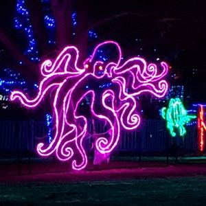 Meet your Posher, Janelle